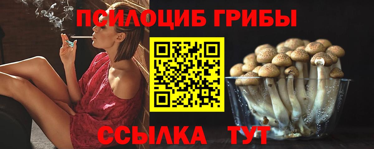 Псилоцибиновые грибы GOLDEN TEACHER Гусь-Хрустальный